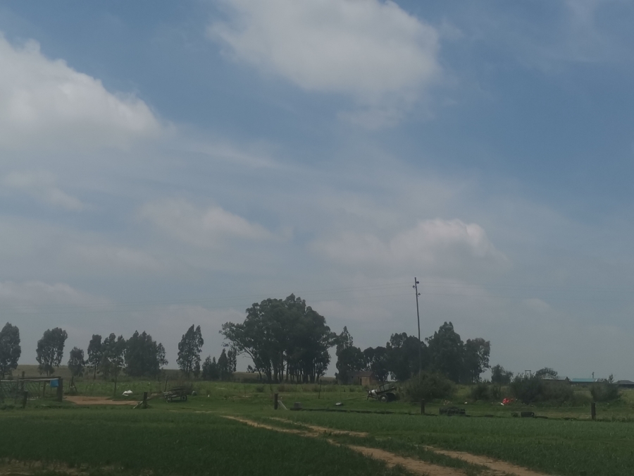 5 Bedroom Property for Sale in Senekal Rural Free State